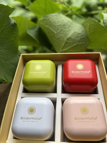 Matcha Gift Box